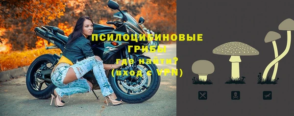 дживик Арсеньев